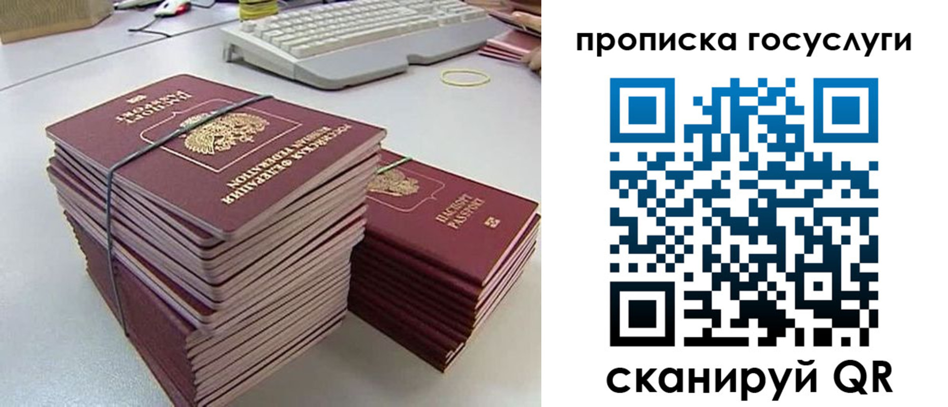 временная регистрация для школы в Елизово